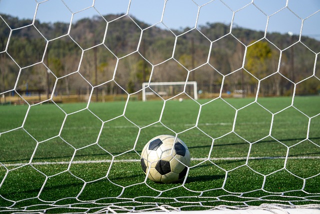 制化的培训 制化的培训