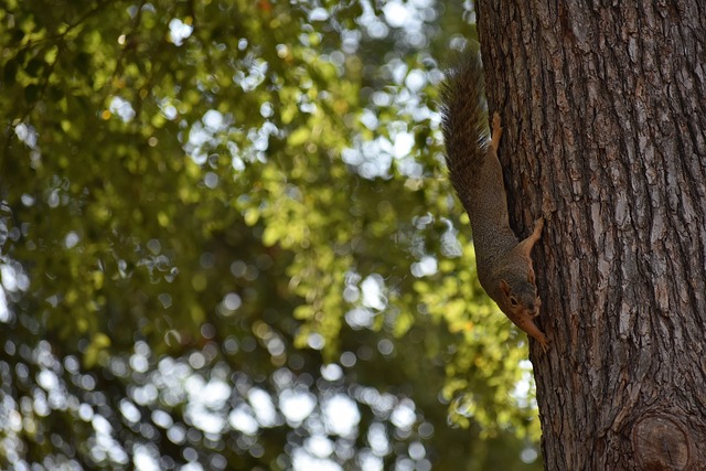 欧洲足球赛 欧洲足球赛