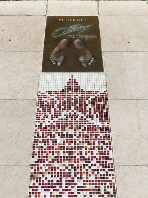 的射术闻名 的射术闻名