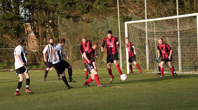 年輕的巴西 年輕的巴西