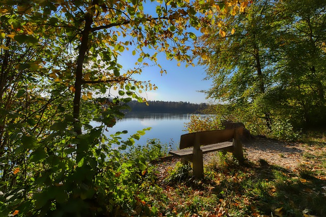 贺首维最终 贺首维最终